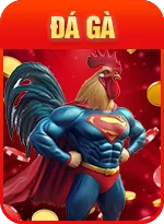 Sảnh đá gà nhà cái 88vv