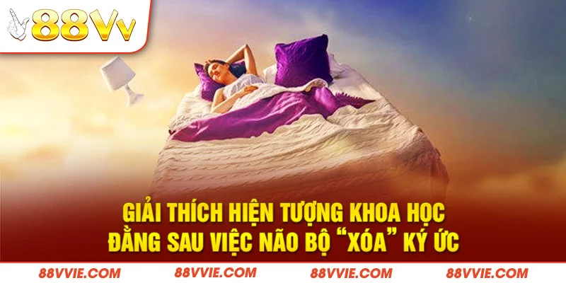 Giải thích hiện tượng khoa học đằng sau việc não bộ “xóa” ký ức